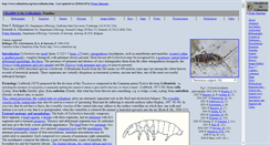 Desktop Screenshot of collembola.org