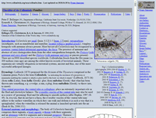 Tablet Screenshot of collembola.org